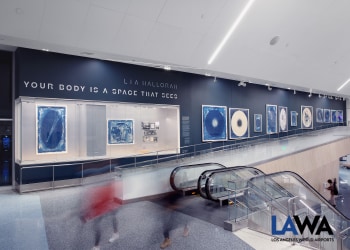 LIA HALLORAN SOLO EXHIBITION AT LAX